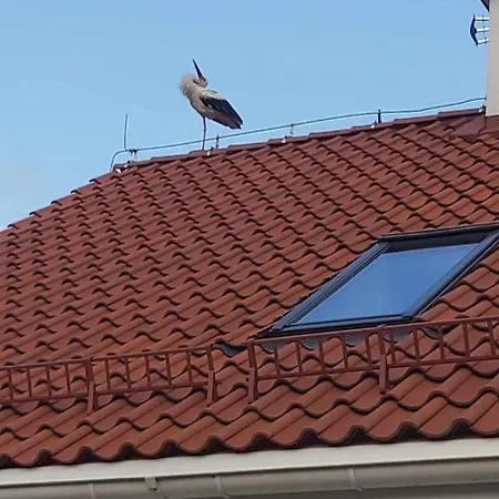 Cztery Strony Mazur Apartamento *